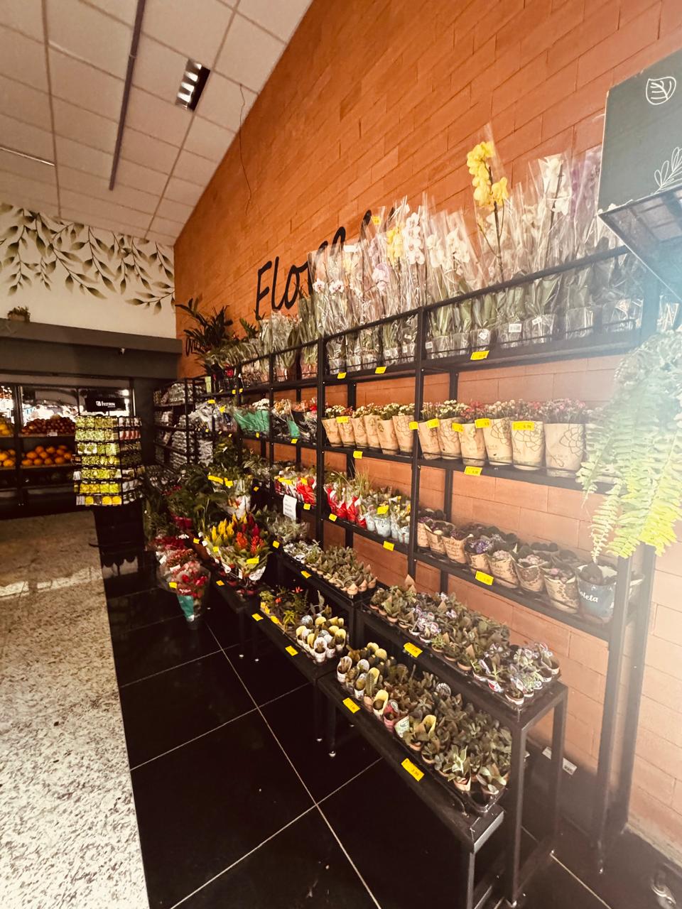 Projeto Supermercados & Adegas